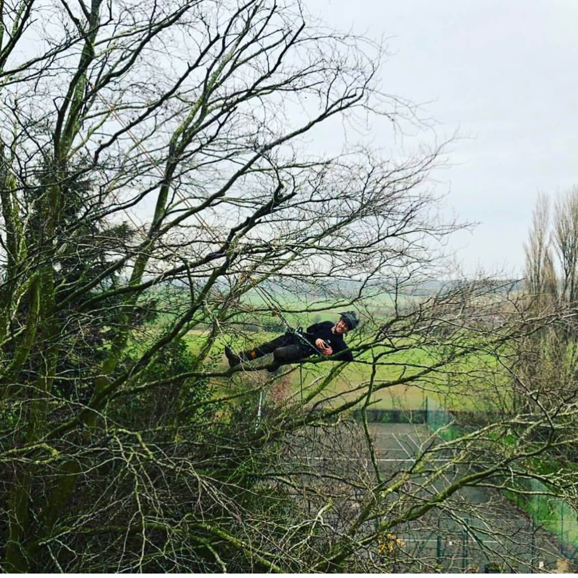 Tree Felling in Crosby