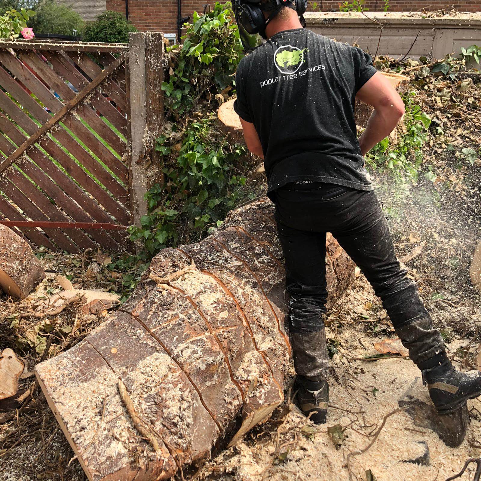 Tree Felling in Crosby
