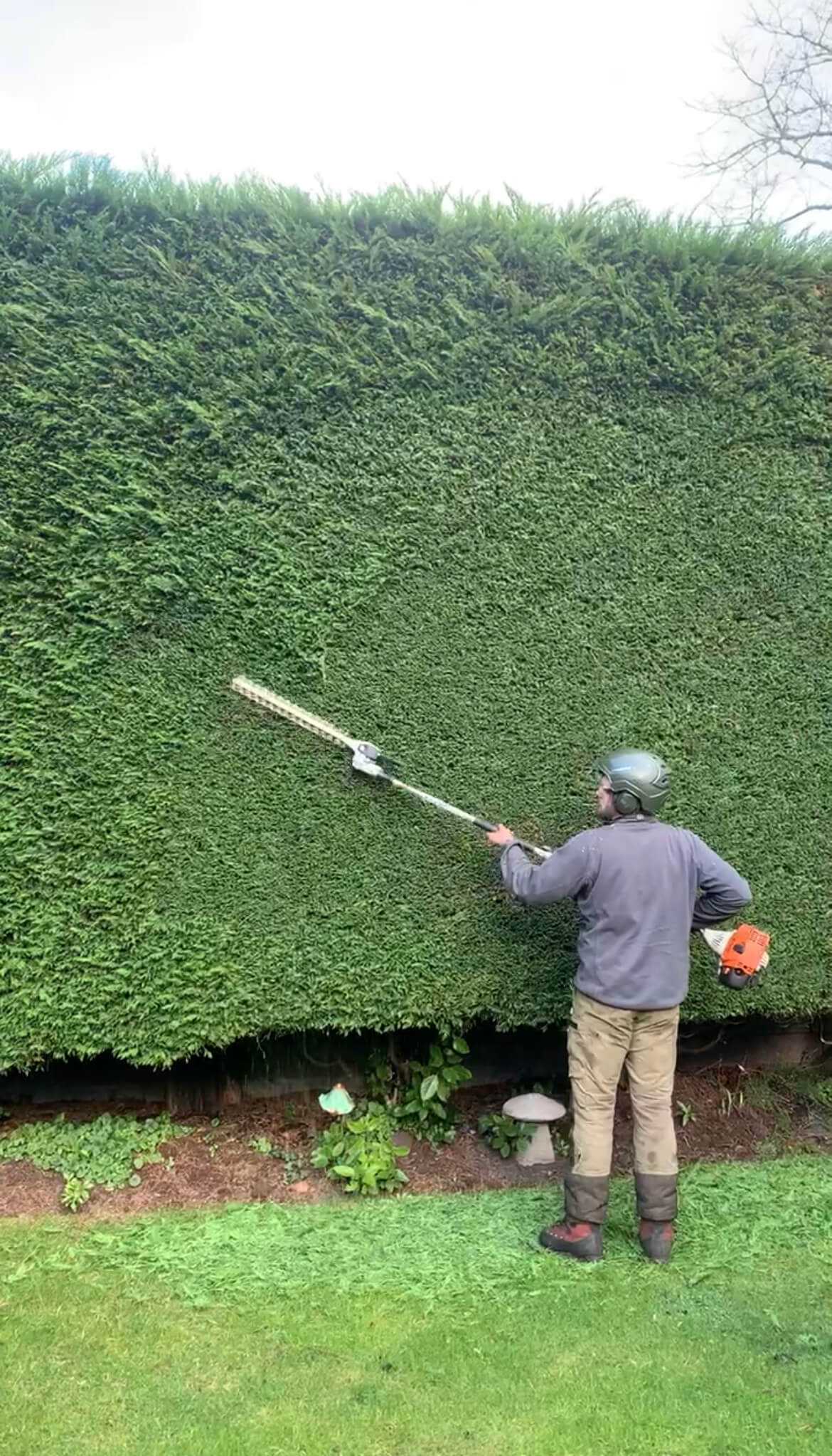 Hedging services Crosby