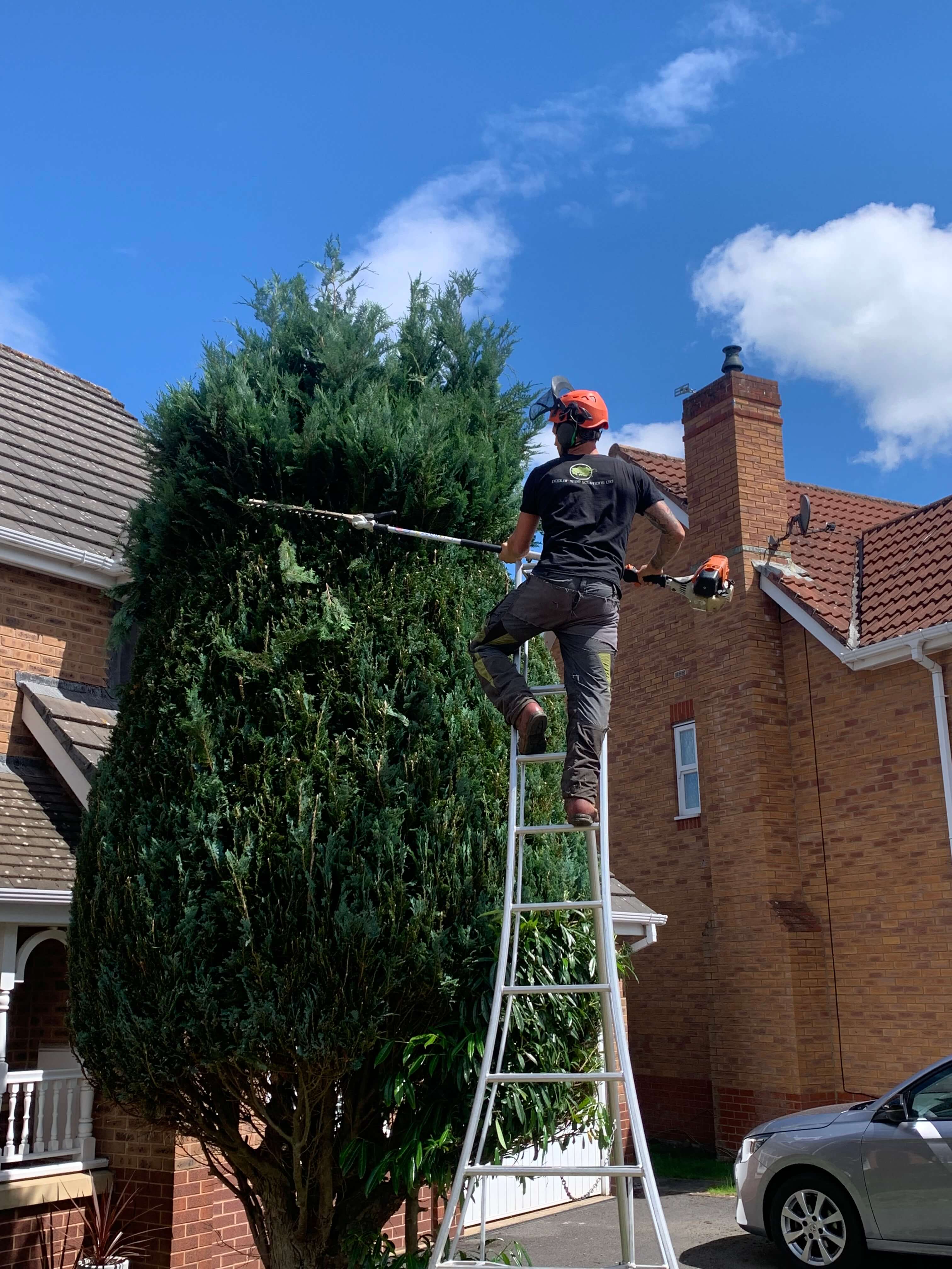 Hedging services Crosby