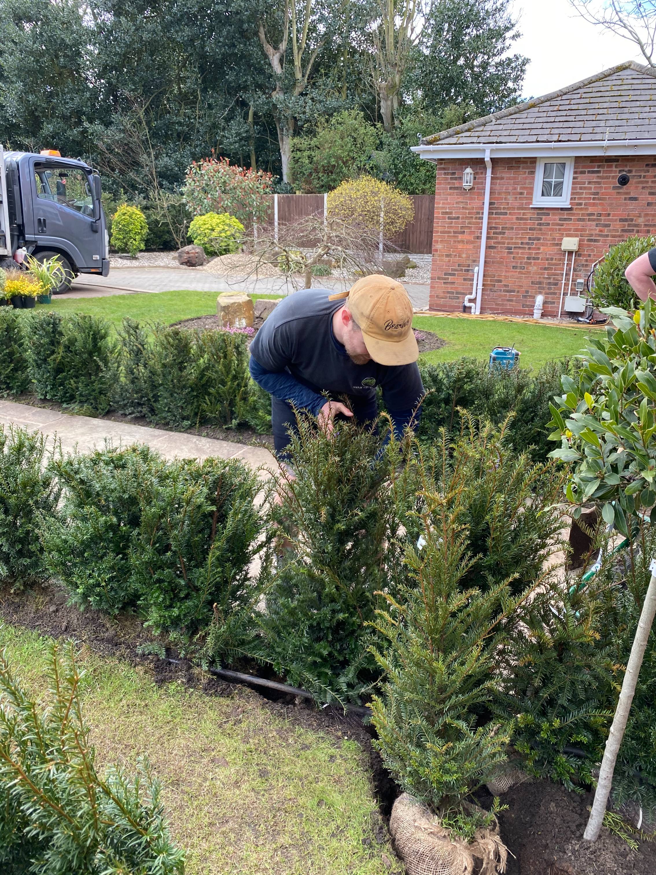 Tree Planting in Crosby
