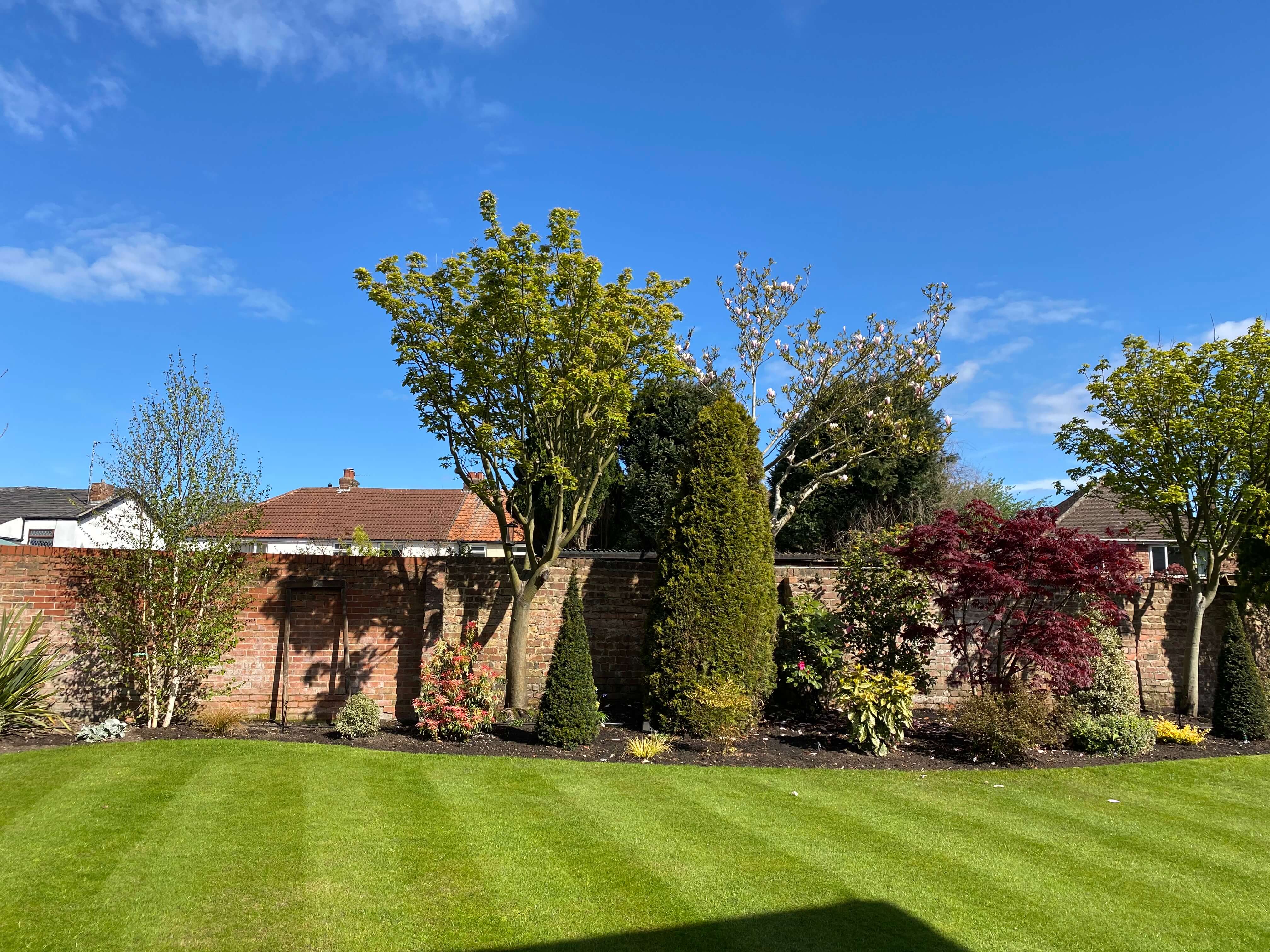 Tree Planting in Crosby