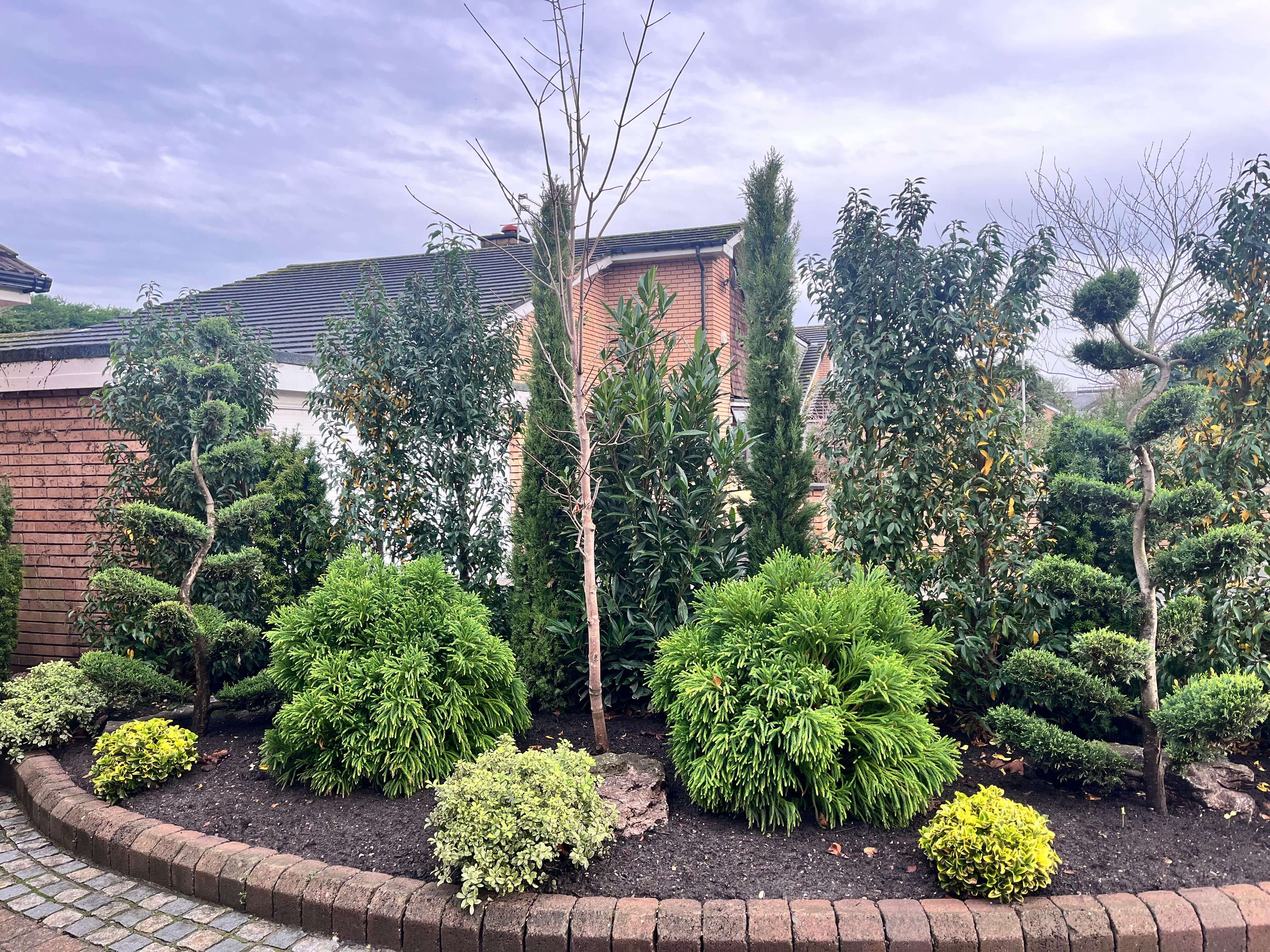 Tree Planting in Crosby