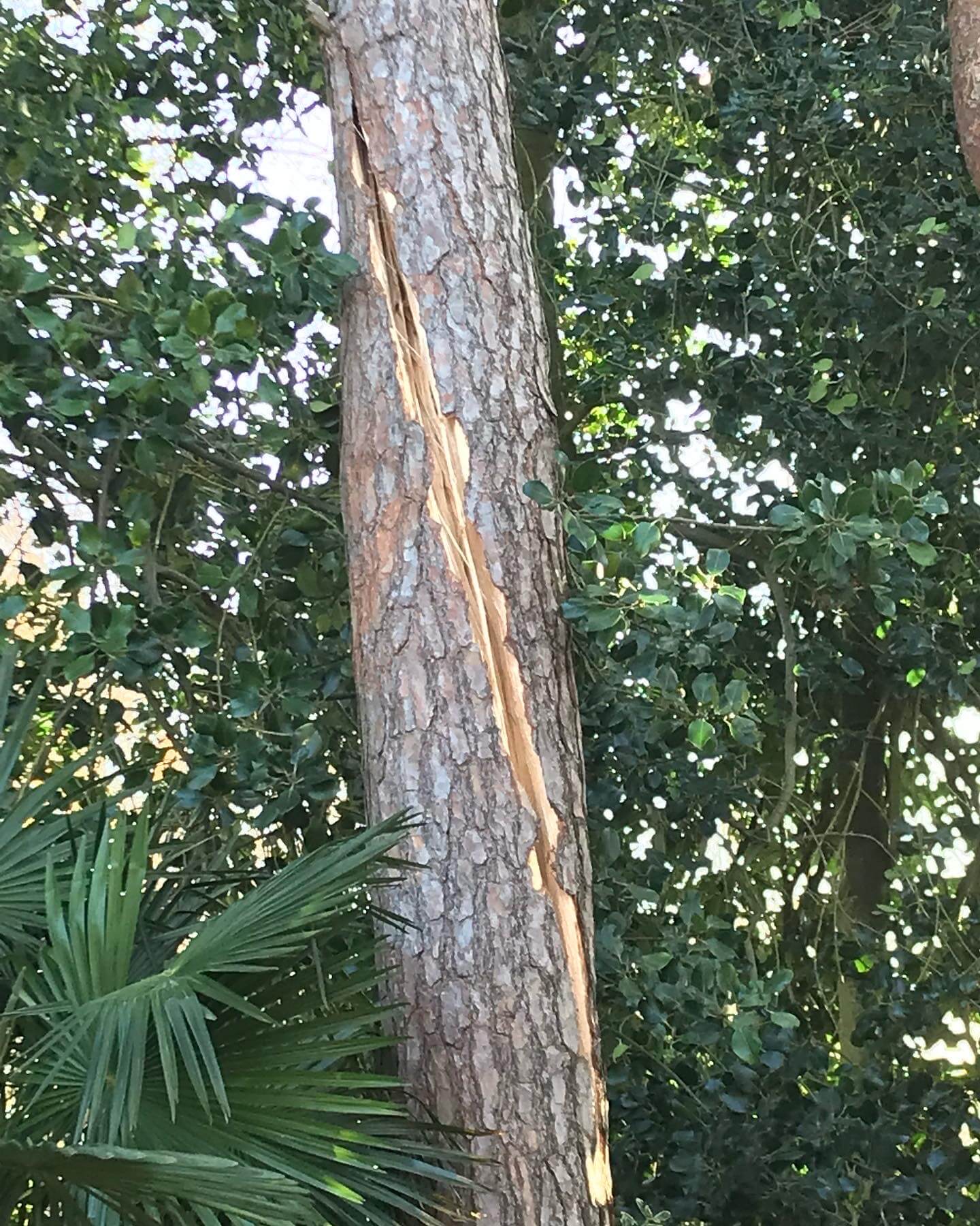 Storm Damage Work Crosby