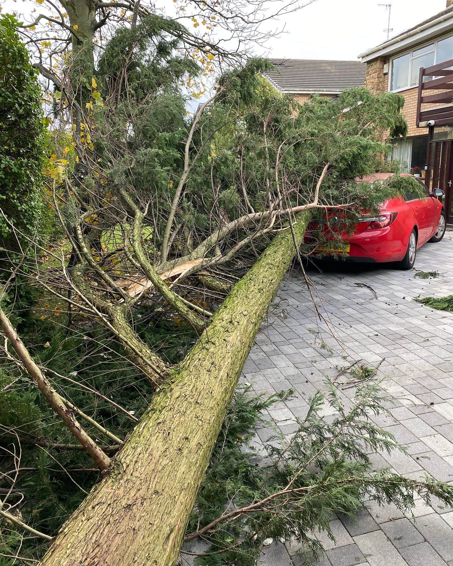 Storm Damage Work Crosby