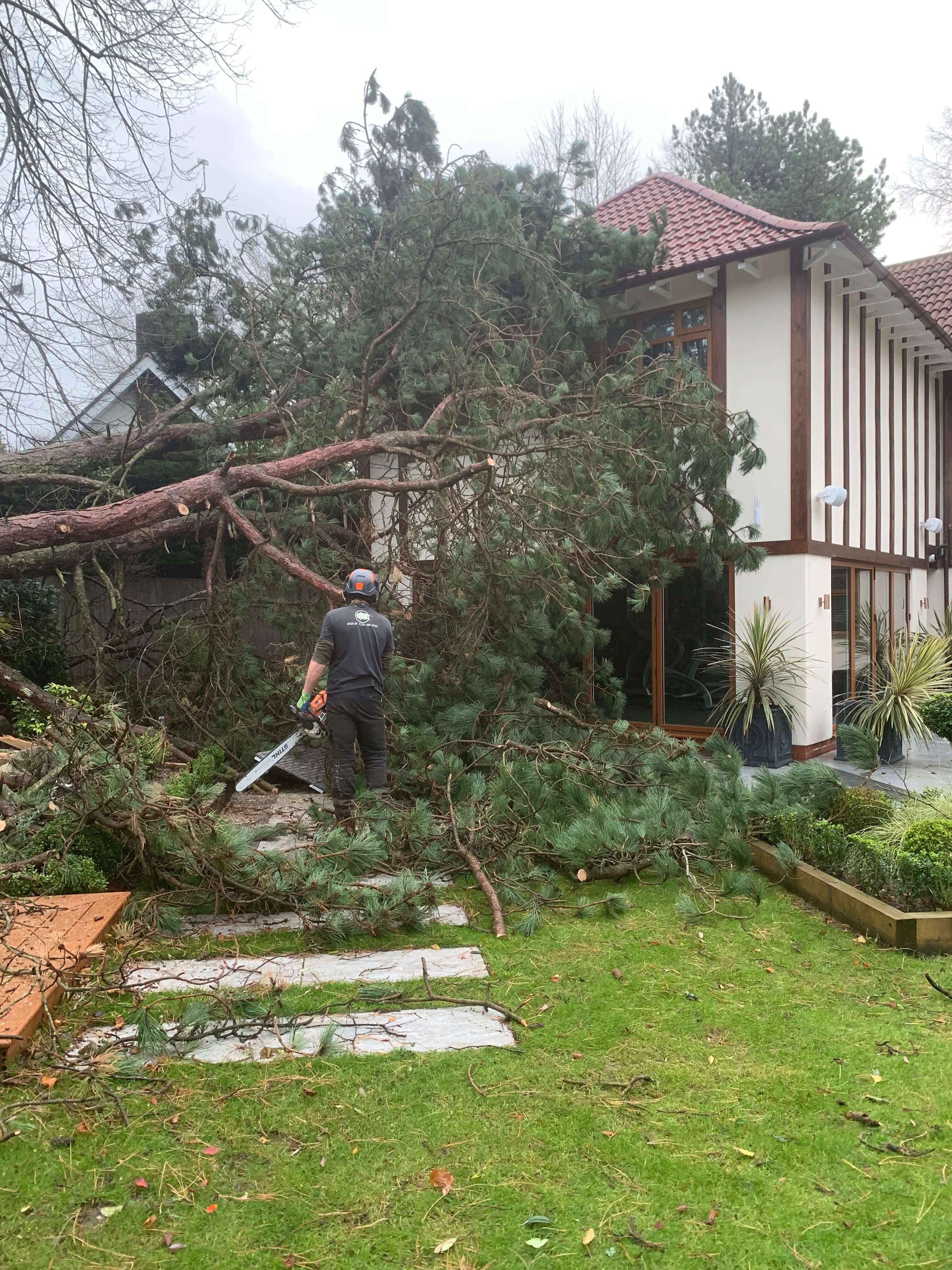 Storm Damage Work Crosby