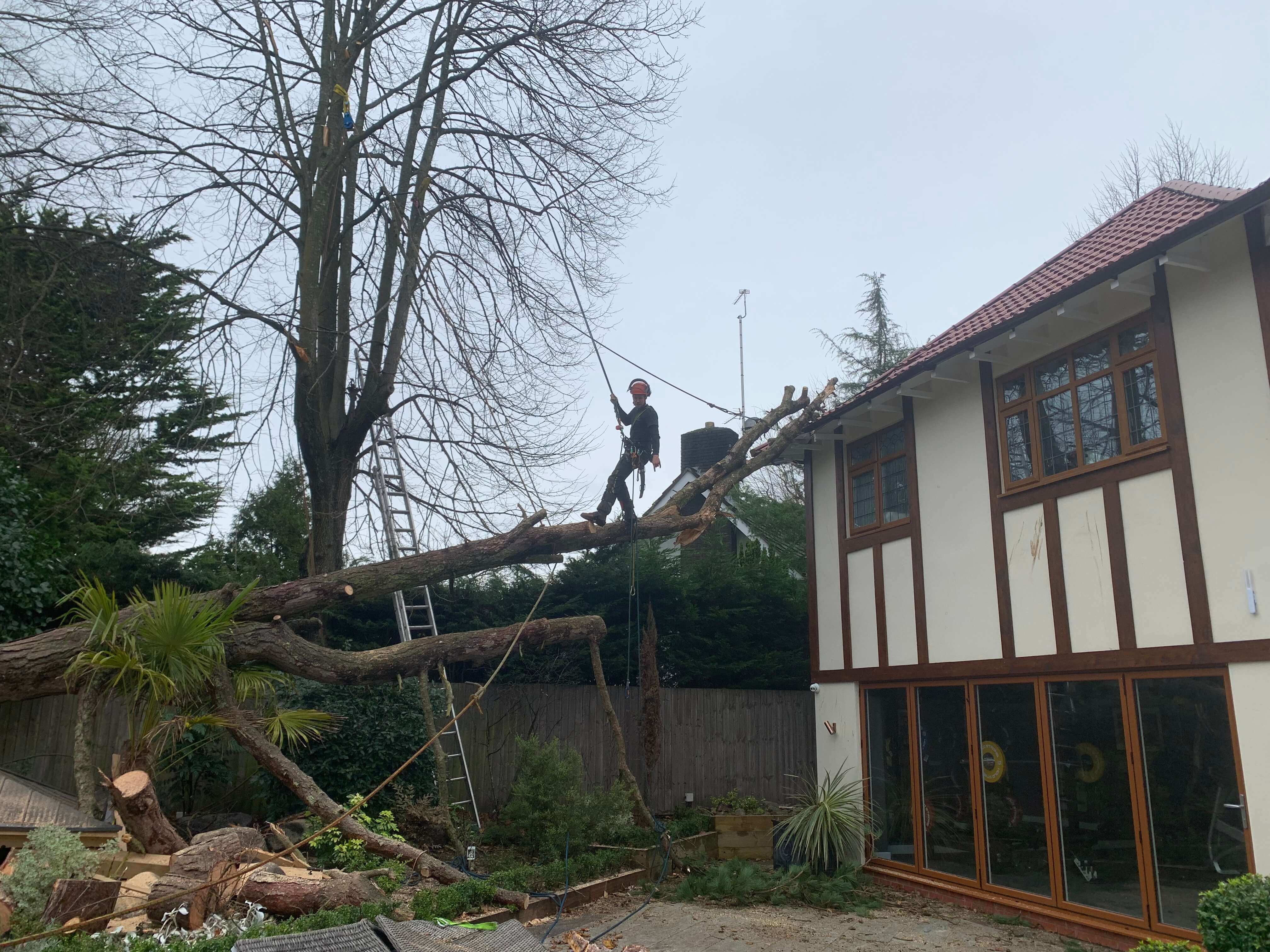 Storm Damage Work Crosby