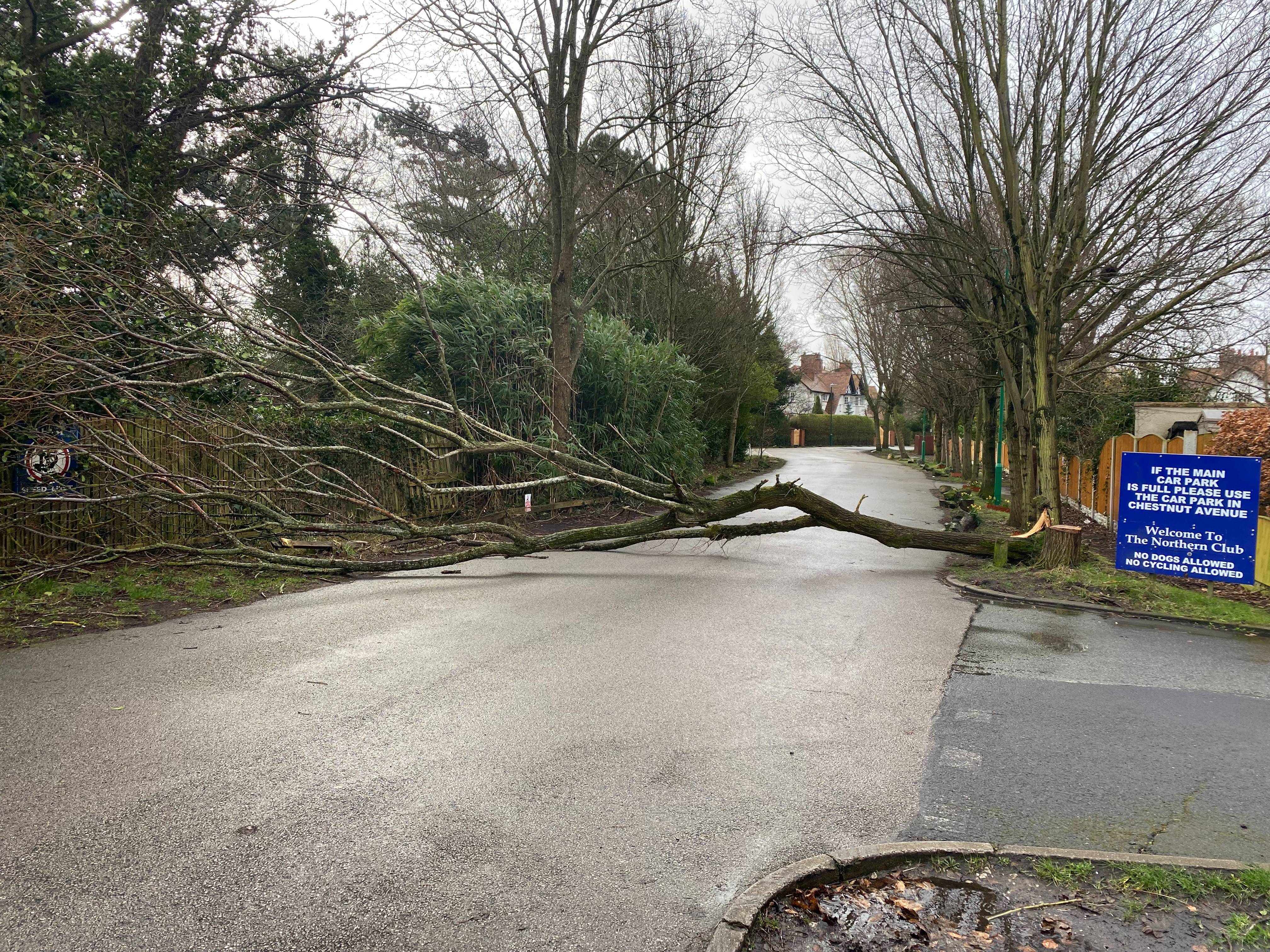 Storm Damage Work Crosby