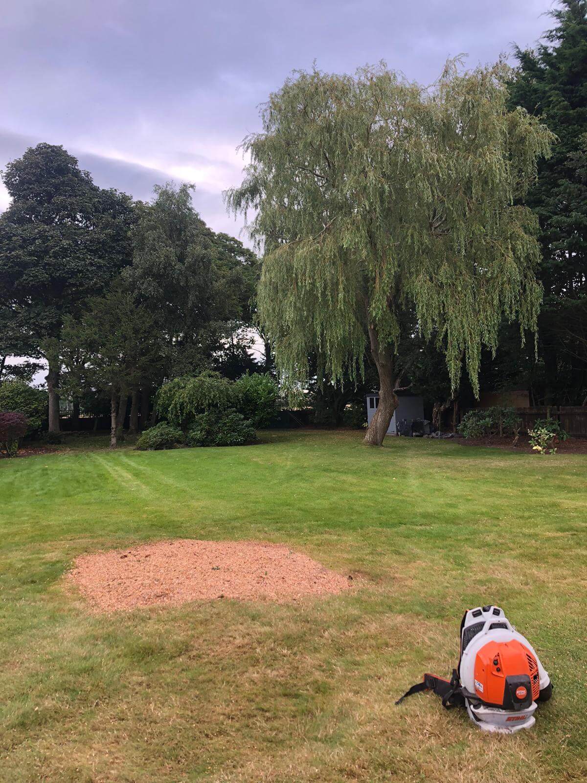 Stump Grinding Crosby
