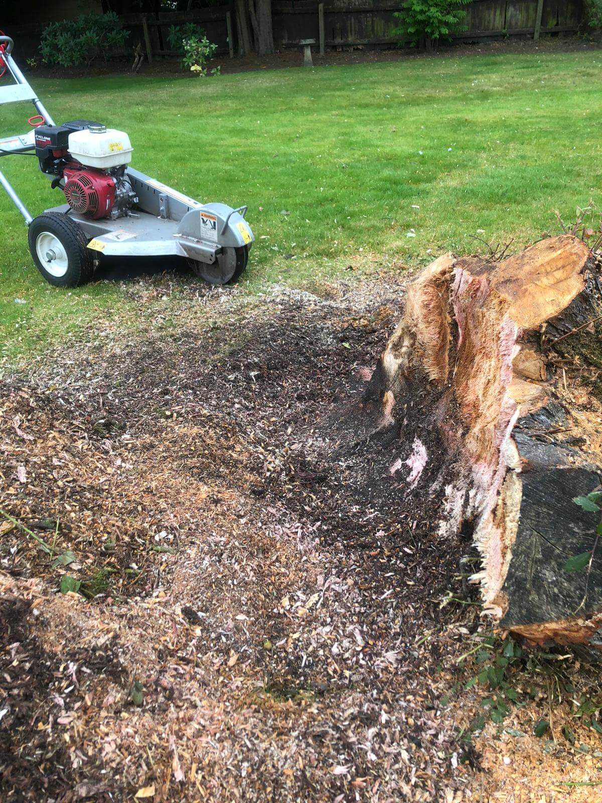 Stump Grinding Crosby