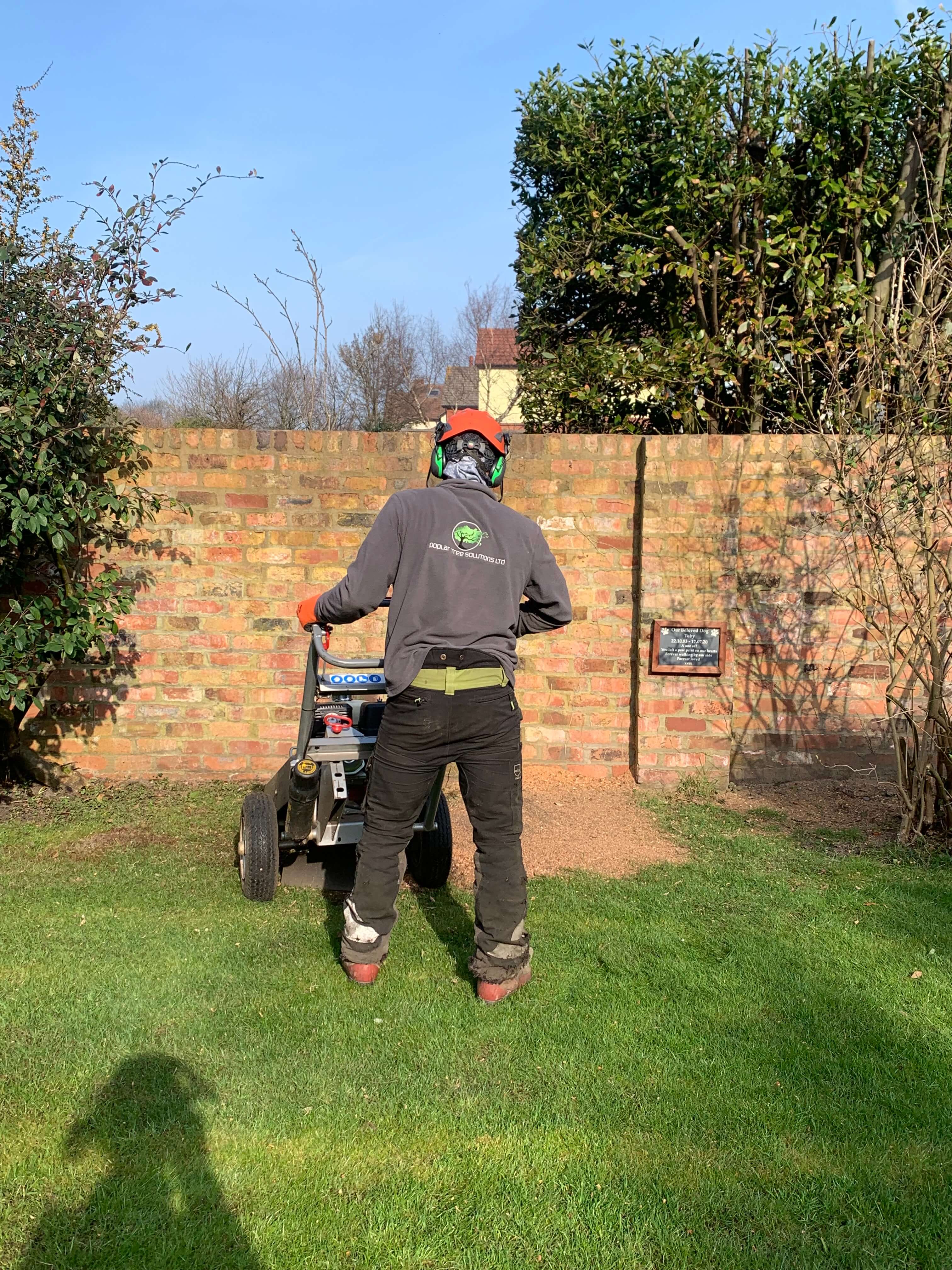 Stump Grinding Crosby